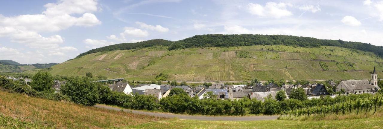 Ferienwohnung "Schoene Aussicht" Reil Zewnętrze zdjęcie